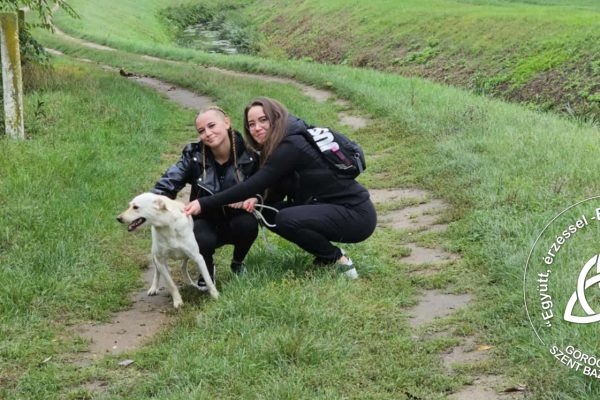 Szent Bazil Középiskola Bazilos diákok a Nyírszőlősi Állatbarát Alapítványnál Hírek Nyíregyházi Tagintézmény Szent Bazil Középiskola Pályaorientációs Nap a kisvárdai Bazilban! Kisvárda 2024 Hírek Kisvárdai Tagintézmény