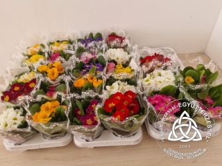 Szent Bazil Középiskola Nőnapi tisztelet Kisvárdán – a Szent Bazil Technikum hölgy munkatársait köszöntötte a város vezetése Hírek Kisvárdai Tagintézmény