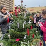 Szent Bazil Középiskola Városi fenyőfadíszítés Kisvárdán Hírek Kisvárdai Tagintézmény Szent Bazil Középiskola Városi fenyőfadíszítés Kisvárdán Hírek Kisvárdai Tagintézmény