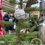 Szent Bazil Középiskola Városi fenyőfadíszítés Kisvárdán Hírek Kisvárdai Tagintézmény Szent Bazil Középiskola Városi fenyőfadíszítés Kisvárdán Hírek Kisvárdai Tagintézmény