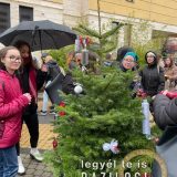 Szent Bazil Középiskola Városi fenyőfadíszítés Kisvárdán Hírek Kisvárdai Tagintézmény Szent Bazil Középiskola Városi fenyőfadíszítés Kisvárdán Hírek Kisvárdai Tagintézmény