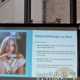 Szent Bazil Középiskola Mert nálunk a bio a menő! Hírek Nyíregyházi Tagintézmény
