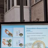 Szent Bazil Középiskola Mert nálunk a bio a menő! Hírek Nyíregyházi Tagintézmény