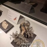 Szent Bazil Középiskola Body Worlds, ahol az anatómia óra ’életre’ kel! Hírek Nyíregyházi Tagintézmény Szent Bazil Középiskola Body Worlds, ahol az anatómia óra ’életre’ kel! Hírek Nyíregyházi Tagintézmény