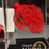 Szent Bazil Középiskola Body Worlds, ahol az anatómia óra ’életre’ kel! Hírek Nyíregyházi Tagintézmény Szent Bazil Középiskola Body Worlds, ahol az anatómia óra ’életre’ kel! Hírek Nyíregyházi Tagintézmény