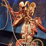 Szent Bazil Középiskola Body Worlds, ahol az anatómia óra ’életre’ kel! Hírek Nyíregyházi Tagintézmény Szent Bazil Középiskola Body Worlds, ahol az anatómia óra ’életre’ kel! Hírek Nyíregyházi Tagintézmény