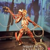 Szent Bazil Középiskola Body Worlds, ahol az anatómia óra ’életre’ kel! Hírek Nyíregyházi Tagintézmény Szent Bazil Középiskola Body Worlds, ahol az anatómia óra ’életre’ kel! Hírek Nyíregyházi Tagintézmény