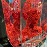 Szent Bazil Középiskola Body Worlds, ahol az anatómia óra ’életre’ kel! Hírek Nyíregyházi Tagintézmény Szent Bazil Középiskola Body Worlds, ahol az anatómia óra ’életre’ kel! Hírek Nyíregyházi Tagintézmény