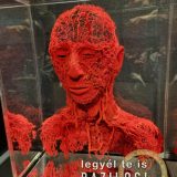 Szent Bazil Középiskola Body Worlds, ahol az anatómia óra ’életre’ kel! Hírek Nyíregyházi Tagintézmény Szent Bazil Középiskola Body Worlds, ahol az anatómia óra ’életre’ kel! Hírek Nyíregyházi Tagintézmény