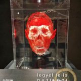 Szent Bazil Középiskola Body Worlds, ahol az anatómia óra ’életre’ kel! Hírek Nyíregyházi Tagintézmény Szent Bazil Középiskola Body Worlds, ahol az anatómia óra ’életre’ kel! Hírek Nyíregyházi Tagintézmény