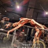Szent Bazil Középiskola Body Worlds, ahol az anatómia óra ’életre’ kel! Hírek Nyíregyházi Tagintézmény Szent Bazil Középiskola Body Worlds, ahol az anatómia óra ’életre’ kel! Hírek Nyíregyházi Tagintézmény