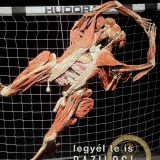 Szent Bazil Középiskola Body Worlds, ahol az anatómia óra ’életre’ kel! Hírek Nyíregyházi Tagintézmény Szent Bazil Középiskola Body Worlds, ahol az anatómia óra ’életre’ kel! Hírek Nyíregyházi Tagintézmény