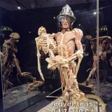 Szent Bazil Középiskola Body Worlds, ahol az anatómia óra ’életre’ kel! Hírek Nyíregyházi Tagintézmény Szent Bazil Középiskola Body Worlds, ahol az anatómia óra ’életre’ kel! Hírek Nyíregyházi Tagintézmény