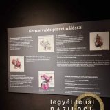 Szent Bazil Középiskola Body Worlds, ahol az anatómia óra ’életre’ kel! Hírek Nyíregyházi Tagintézmény Szent Bazil Középiskola Body Worlds, ahol az anatómia óra ’életre’ kel! Hírek Nyíregyházi Tagintézmény