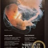 Szent Bazil Középiskola Body Worlds, ahol az anatómia óra ’életre’ kel! Hírek Nyíregyházi Tagintézmény Szent Bazil Középiskola Body Worlds, ahol az anatómia óra ’életre’ kel! Hírek Nyíregyházi Tagintézmény