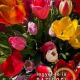 Szent Bazil Középiskola Látogatás a TulipGardenbe Hírek Kisvárdai Tagintézmény Szent Bazil Görögkatolikus Középiskola Szent Bazil Középiskola Látogatás a TulipGardenbe Hírek Kisvárdai Tagintézmény Szent Bazil Görögkatolikus Középiskola