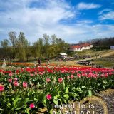 Szent Bazil Középiskola Látogatás a TulipGardenbe Hírek Kisvárdai Tagintézmény Szent Bazil Görögkatolikus Középiskola Szent Bazil Középiskola Látogatás a TulipGardenbe Hírek Kisvárdai Tagintézmény Szent Bazil Görögkatolikus Középiskola