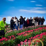 Szent Bazil Középiskola Látogatás a TulipGardenbe Hírek Kisvárdai Tagintézmény Szent Bazil Görögkatolikus Középiskola Szent Bazil Középiskola Látogatás a TulipGardenbe Hírek Kisvárdai Tagintézmény Szent Bazil Görögkatolikus Középiskola
