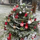 Szent Bazil Középiskola Mert együtt jobb az ünnep! Hírek Nyíregyházi Tagintézmény