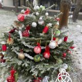 Szent Bazil Középiskola Mert együtt jobb az ünnep! Hírek Nyíregyházi Tagintézmény