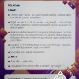 Szent Bazil Középiskola 64. Nosztalgia Magyar Bajnokság Egyéb Hírek Nyíregyházi Tagintézmény
