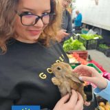 Szent Bazil Középiskola II. Bazil Iskolanap! Együtt, érzéssel. Együttérzéssel. Debrecen 2025. Debreceni tagintézmény Hírek Kisvárdai Tagintézmény Nyíregyházi Tagintézmény