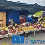 Szent Bazil Középiskola II. Bazil Iskolanap! Együtt, érzéssel. Együttérzéssel. Debrecen 2025. Debreceni tagintézmény Hírek Kisvárdai Tagintézmény Nyíregyházi Tagintézmény
