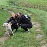 Szent Bazil Középiskola Bazilos diákok a Nyírszőlősi Állatbarát Alapítványnál Hírek Nyíregyházi Tagintézmény Szent Bazil Középiskola Bazilos diákok a Nyírszőlősi Állatbarát Alapítványnál Hírek Nyíregyházi Tagintézmény