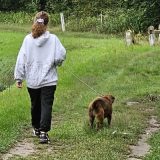 Szent Bazil Középiskola Bazilos diákok a Nyírszőlősi Állatbarát Alapítványnál Hírek Nyíregyházi Tagintézmény Szent Bazil Középiskola Bazilos diákok a Nyírszőlősi Állatbarát Alapítványnál Hírek Nyíregyházi Tagintézmény
