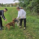 Szent Bazil Középiskola Bazilos diákok a Nyírszőlősi Állatbarát Alapítványnál Hírek Nyíregyházi Tagintézmény Szent Bazil Középiskola Bazilos diákok a Nyírszőlősi Állatbarát Alapítványnál Hírek Nyíregyházi Tagintézmény