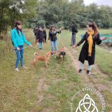 Szent Bazil Középiskola Bazilos diákok a Nyírszőlősi Állatbarát Alapítványnál Hírek Nyíregyházi Tagintézmény Szent Bazil Középiskola Bazilos diákok a Nyírszőlősi Állatbarát Alapítványnál Hírek Nyíregyházi Tagintézmény