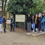 Szent Bazil Középiskola Bazilos diákok a Nyírszőlősi Állatbarát Alapítványnál Hírek Nyíregyházi Tagintézmény Szent Bazil Középiskola Bazilos diákok a Nyírszőlősi Állatbarát Alapítványnál Hírek Nyíregyházi Tagintézmény