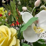 Szent Bazil Középiskola Aranyeső Csurgón: Országos sikert arattak a Szent Bazil cukrászpalántái! Hírek Nyíregyházi Tagintézmény Versenyereredmények Szent Bazil Középiskola Aranyeső Csurgón: Országos sikert arattak a Szent Bazil cukrászpalántái! Hírek Nyíregyházi Tagintézmény Versenyereredmények