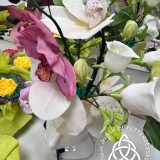 Szent Bazil Középiskola Aranyeső Csurgón: Országos sikert arattak a Szent Bazil cukrászpalántái! Hírek Nyíregyházi Tagintézmény Versenyereredmények Szent Bazil Középiskola Aranyeső Csurgón: Országos sikert arattak a Szent Bazil cukrászpalántái! Hírek Nyíregyházi Tagintézmény Versenyereredmények