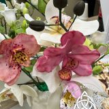 Szent Bazil Középiskola Aranyeső Csurgón: Országos sikert arattak a Szent Bazil cukrászpalántái! Hírek Nyíregyházi Tagintézmény Versenyereredmények Szent Bazil Középiskola Aranyeső Csurgón: Országos sikert arattak a Szent Bazil cukrászpalántái! Hírek Nyíregyházi Tagintézmény Versenyereredmények