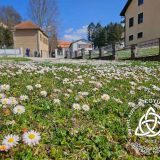 Szent Bazil Középiskola Három város, egy küldetés – Bazilos oktatók Erasmus élménye az ingyenes képzésekért Debreceni tagintézmény Hírek Kisvárdai Tagintézmény Nyíregyházi Tagintézmény Szent Bazil Középiskola Három város, egy küldetés – Bazilos oktatók Erasmus élménye az ingyenes képzésekért Debreceni tagintézmény Hírek Kisvárdai Tagintézmény Nyíregyházi Tagintézmény