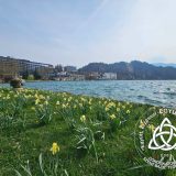 Szent Bazil Középiskola Három város, egy küldetés – Bazilos oktatók Erasmus élménye az ingyenes képzésekért Debreceni tagintézmény Hírek Kisvárdai Tagintézmény Nyíregyházi Tagintézmény Szent Bazil Középiskola Három város, egy küldetés – Bazilos oktatók Erasmus élménye az ingyenes képzésekért Debreceni tagintézmény Hírek Kisvárdai Tagintézmény Nyíregyházi Tagintézmény