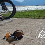 Szent Bazil Középiskola Három város, egy küldetés – Bazilos oktatók Erasmus élménye az ingyenes képzésekért Debreceni tagintézmény Hírek Kisvárdai Tagintézmény Nyíregyházi Tagintézmény Szent Bazil Középiskola Három város, egy küldetés – Bazilos oktatók Erasmus élménye az ingyenes képzésekért Debreceni tagintézmény Hírek Kisvárdai Tagintézmény Nyíregyházi Tagintézmény