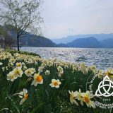 Szent Bazil Középiskola Három város, egy küldetés – Bazilos oktatók Erasmus élménye az ingyenes képzésekért Debreceni tagintézmény Hírek Kisvárdai Tagintézmény Nyíregyházi Tagintézmény Szent Bazil Középiskola Három város, egy küldetés – Bazilos oktatók Erasmus élménye az ingyenes képzésekért Debreceni tagintézmény Hírek Kisvárdai Tagintézmény Nyíregyházi Tagintézmény